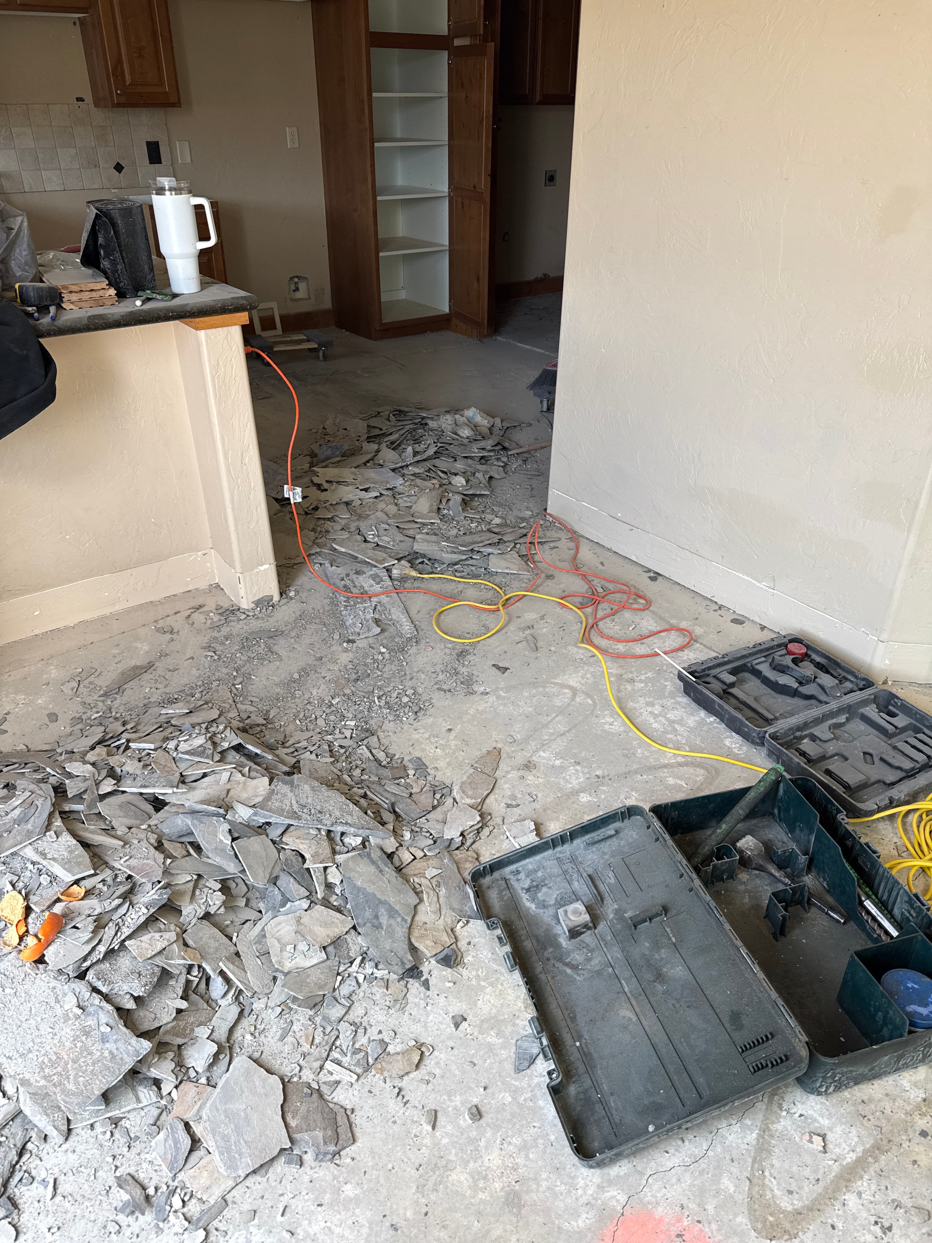 Project Demo Day - Old Tile and Carpet Out, New Floors Coming In image