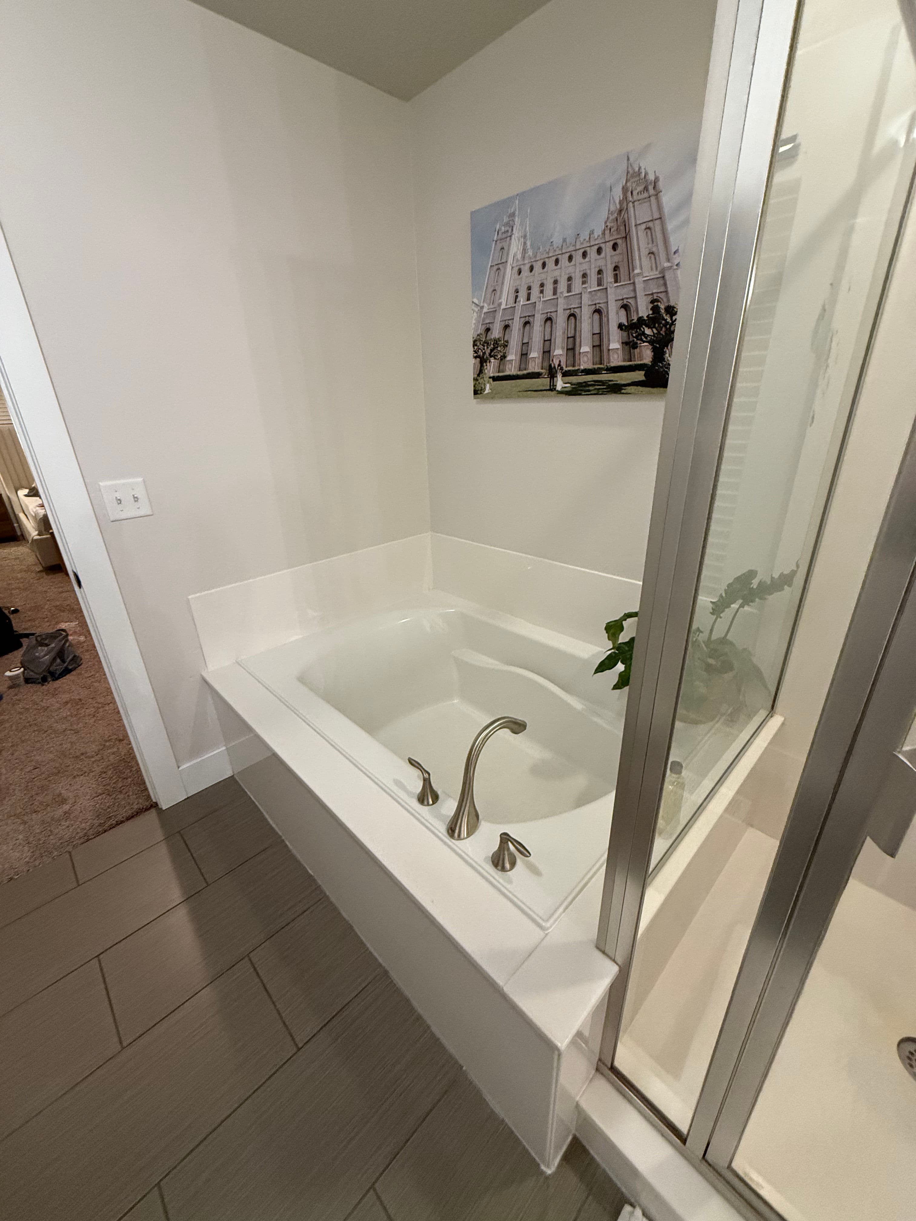 Project From Builder-Basic to Spa-Worthy Tub and Shower Remodel image