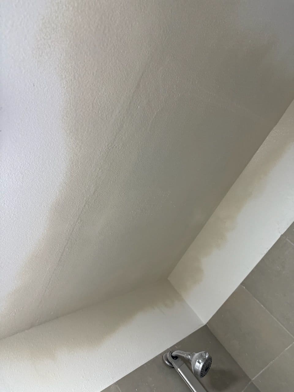 Transform Ceiling Leaks into Peace of Mind