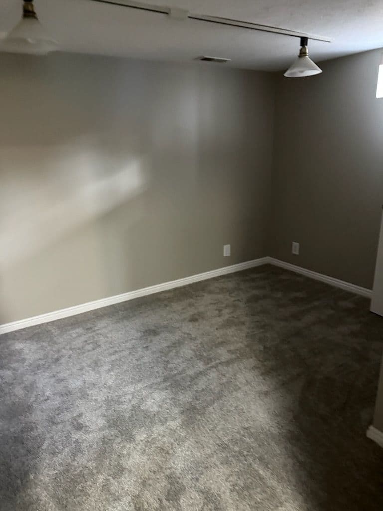 Gallery photos for Basement Overhaul with Modern Bathroom Refresh: Image #1