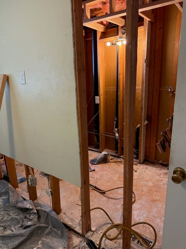 Project Comprehensive Plumbing Overhaul in a Bathroom Remodel image