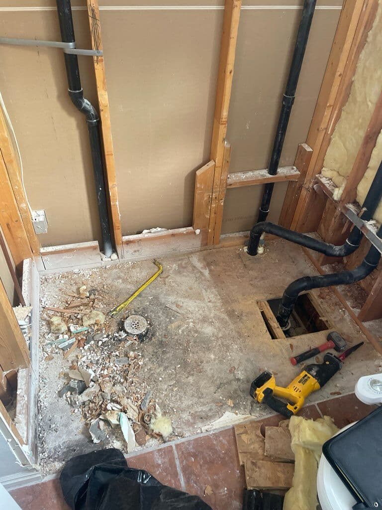 Project From Demo to Dream Bathroom image