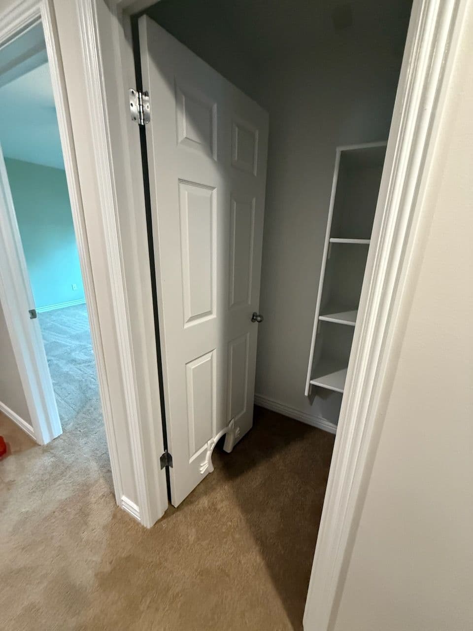 Project Stylish Linen Closet with Pet Door image