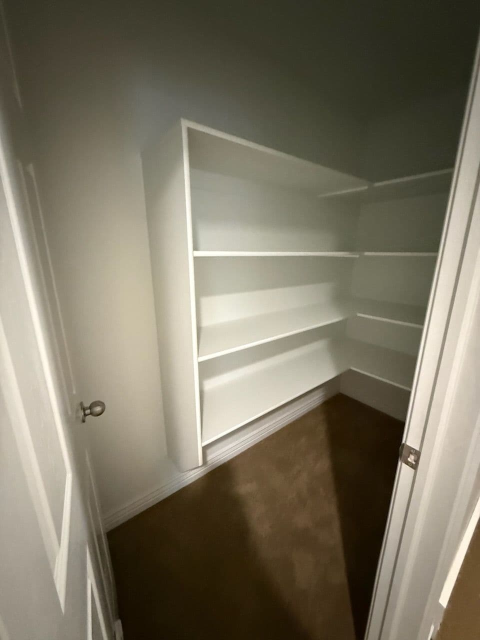 Gallery photos for Stylish Linen Closet with Pet Door: Image #1