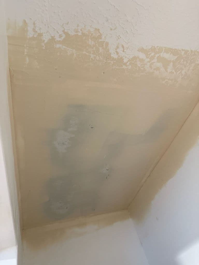 Expert Leak Repair and Seamless Ceiling Restoration