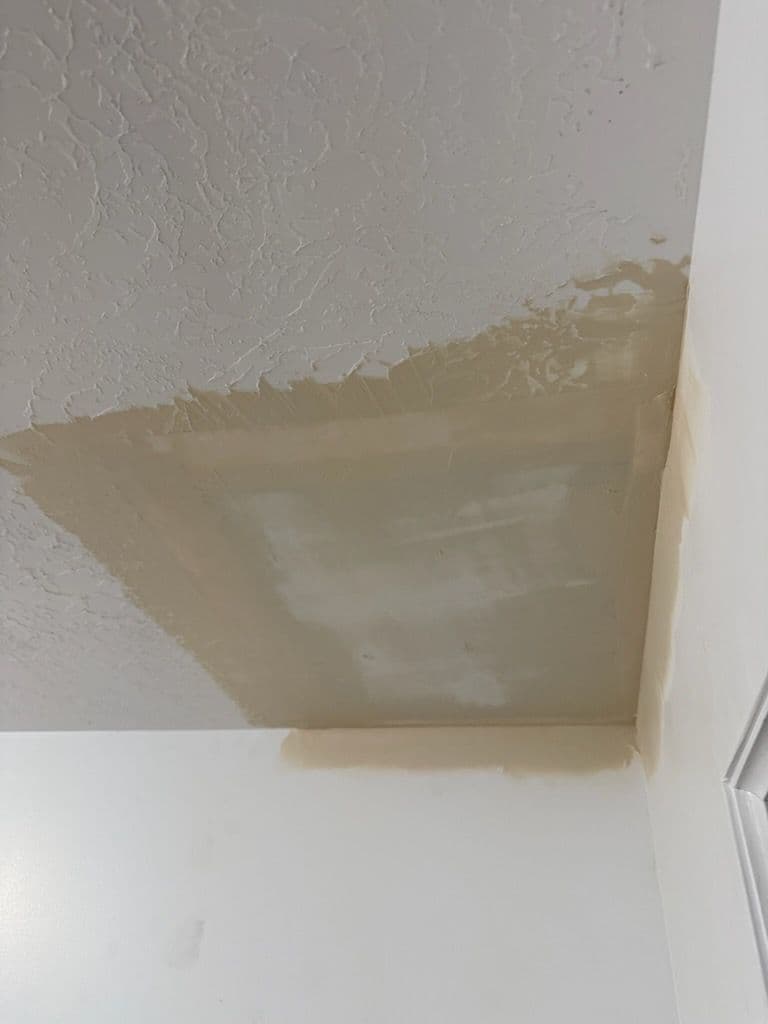Expert Leak Repair and Seamless Ceiling Restoration